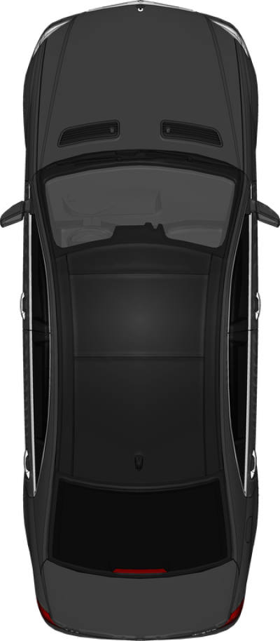 vin patikra nemokamai