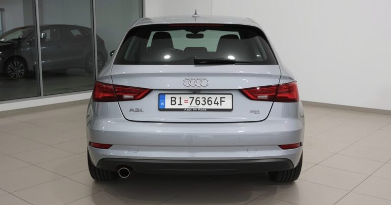 Audi A3 8P 2.0 TDI dažniausios problemos: išsamus vadovas